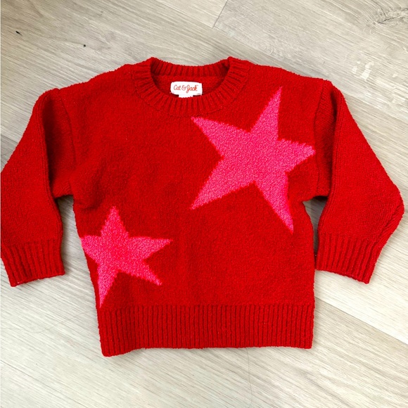 Cat & Jack Other - Cat and Jack sweater